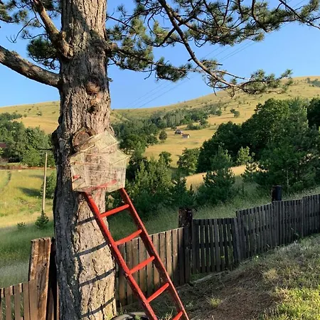 Brvnara Ispod Cigote Apartamento Zlatibor