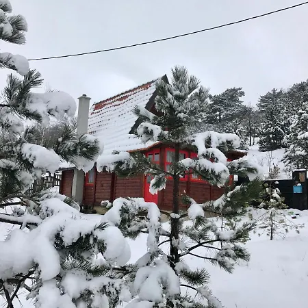 Brvnara Ispod Cigote