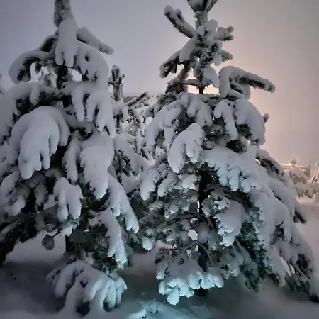 Brvnara Ispod Cigote Apartamento