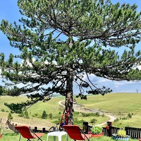 Brvnara Ispod Cigote *