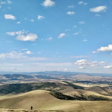 Brvnara Ispod Cigote Apartment Zlatibor
