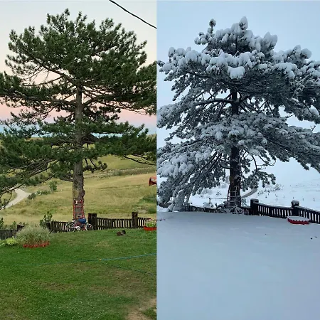 Brvnara Ispod Cigote Apartamento Zlatibor