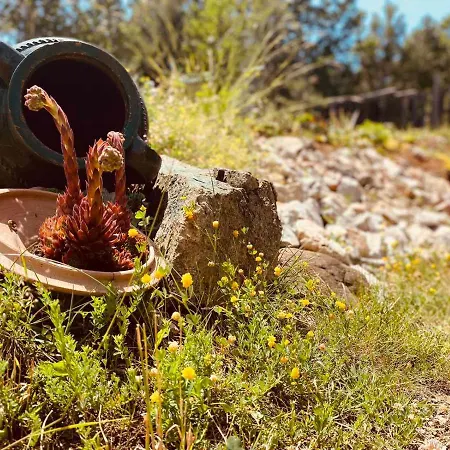 Brvnara Ispod Cigote * Zlatibor