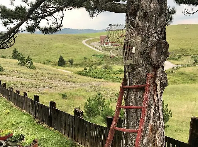 Brvnara Ispod Cigote *