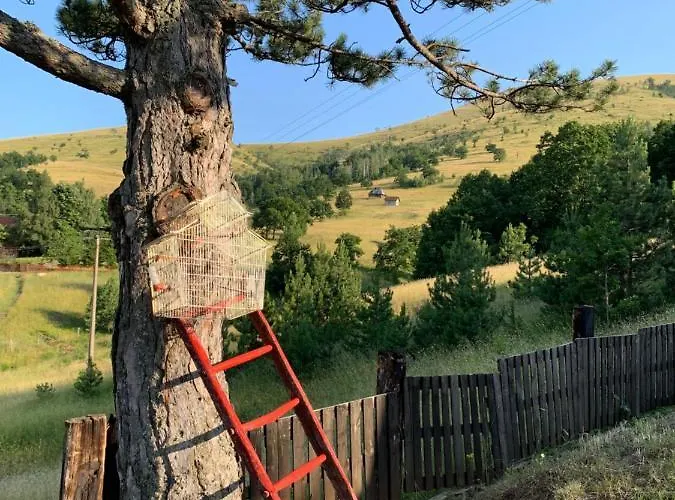 Brvnara Ispod Cigote Апартаменты Златибор