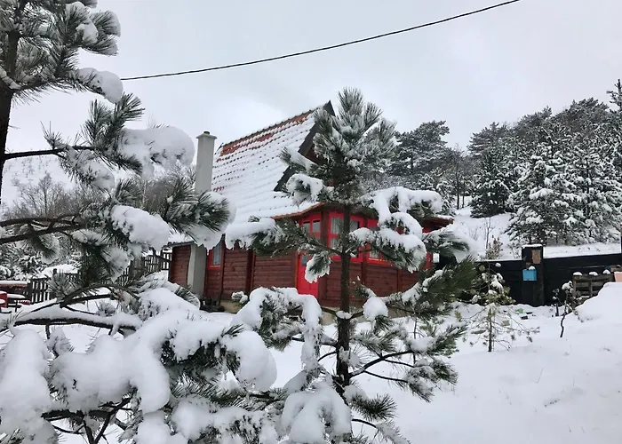 Brvnara Ispod Cigote