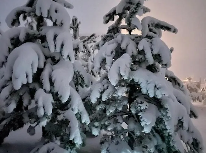 Brvnara Ispod Cigote Апартаменты