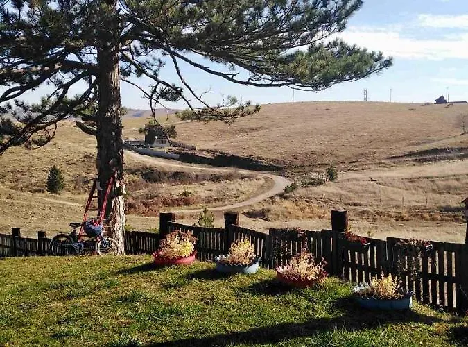 Brvnara Ispod Cigote Апартаменты Златибор