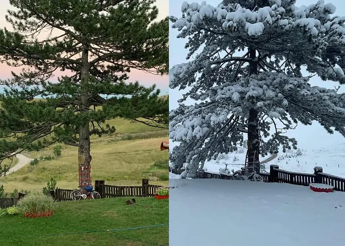 Brvnara Ispod Cigote Апартаменты Златибор