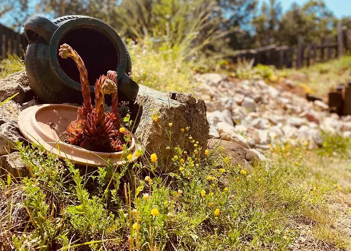 Brvnara Ispod Cigote * Златибор